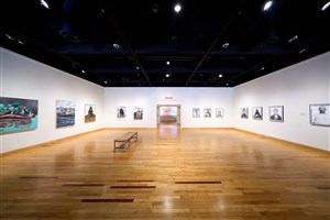 Mobility Migration and Belonging